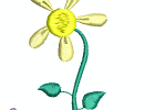 07 darlings of spring